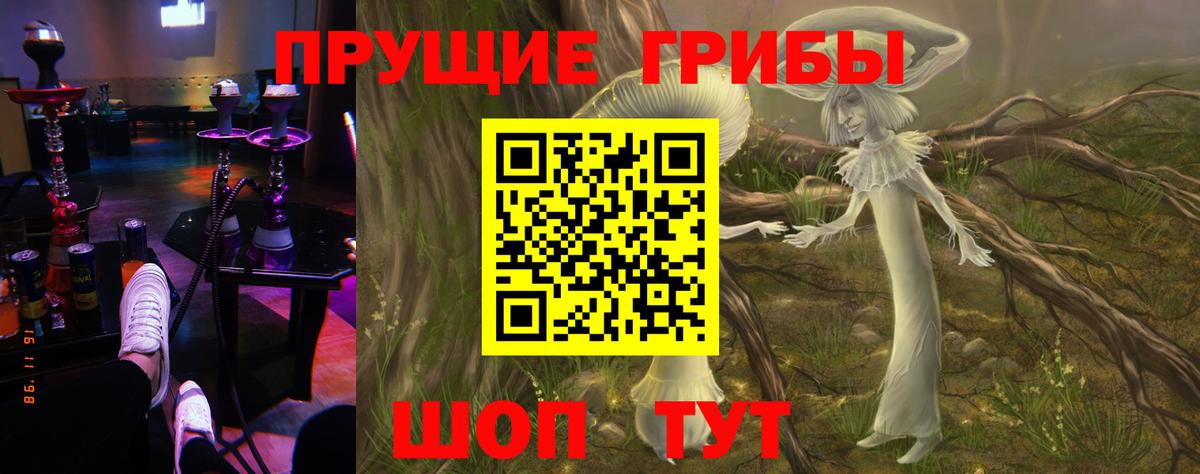 Галлюциногенные грибы Cubensis  Вход с VPN  Королёв  Псилоцибиновые грибы прущие грибы 