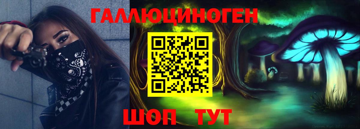 Псилоцибиновые грибы Cubensis Королёв